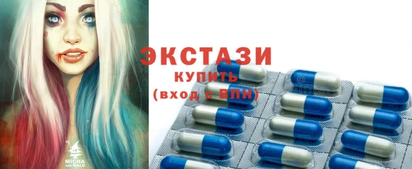 тгк Гусев