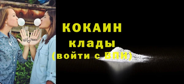тгк Гусев