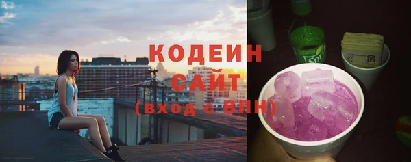 тгк Гусев