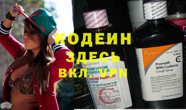 трава Гусь-Хрустальный