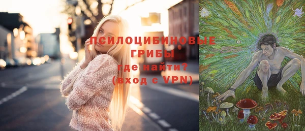 тгк Гусев