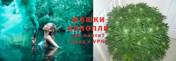 трава Гусь-Хрустальный