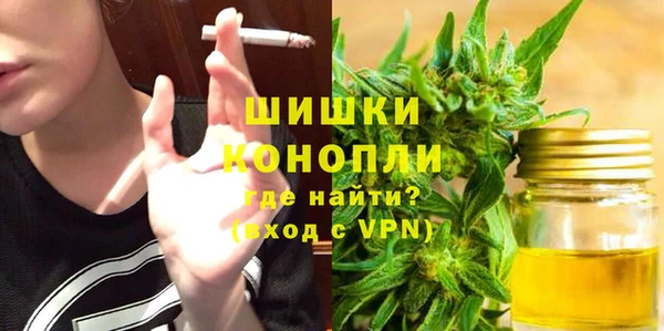 Альфа ПВП Гусиноозёрск