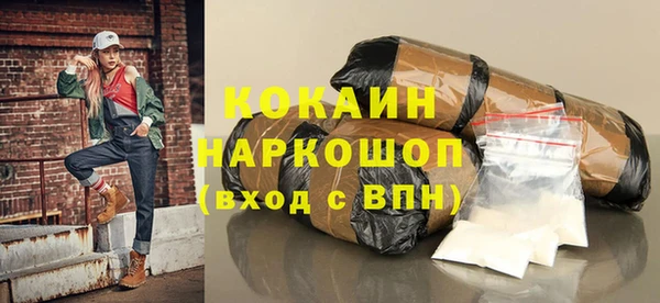 тгк Гусев