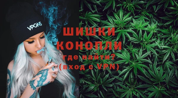 тгк Гусев