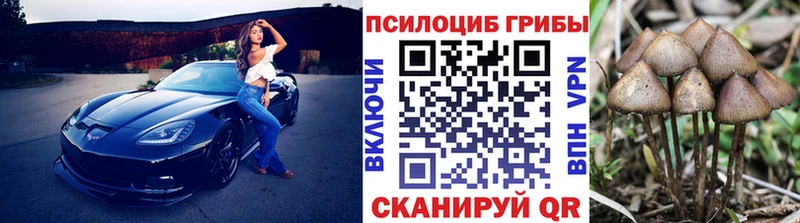Псилоцибиновые грибы GOLDEN TEACHER  Купить  Кудымкар 